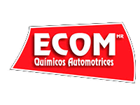 Logo_Ecom